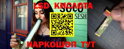 стаф Канаш