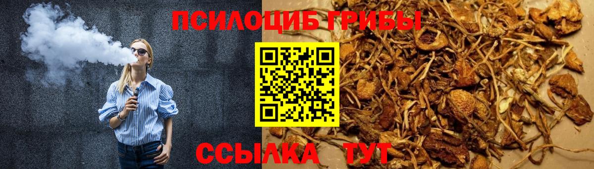 Псилоцибиновые грибы мицелий  Вход с VPN  Екатеринбург  Галлюциногенные грибы Psilocybe 